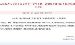郑州王先生爆料新闻事件,揭开神秘新闻事件背后的真相